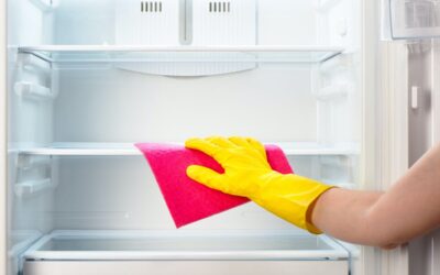 How to clean your refrigerator like a pro!